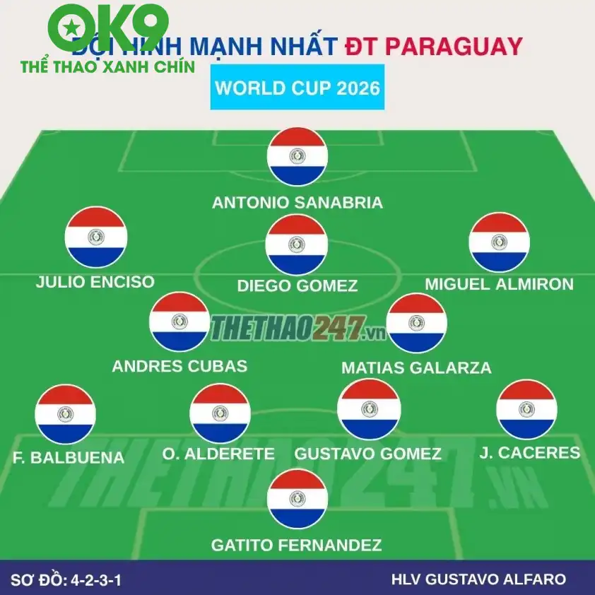 Đội hình dự kiến đội tuyển Paraguay Đội hình dự kiến đội tuyển Paraguay