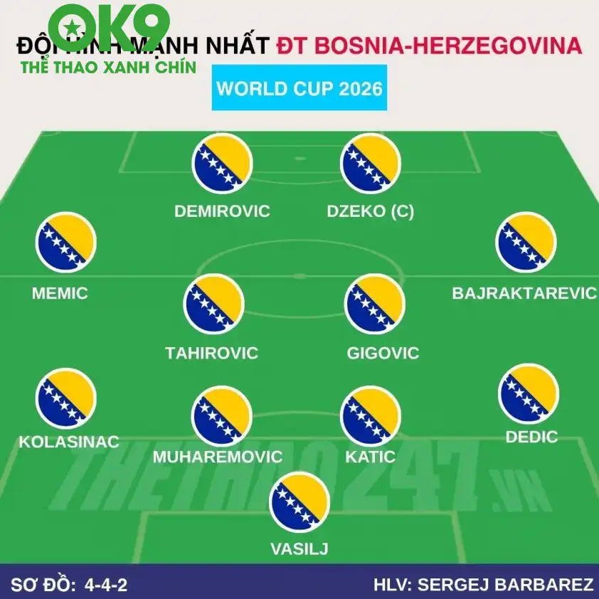 Đội hình dự kiến Bosnia-Herzegovina